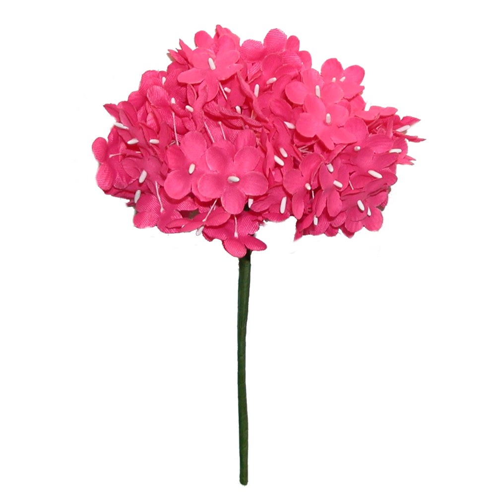 Conjunto de Flores de Flamenca (Ramillete). Flora